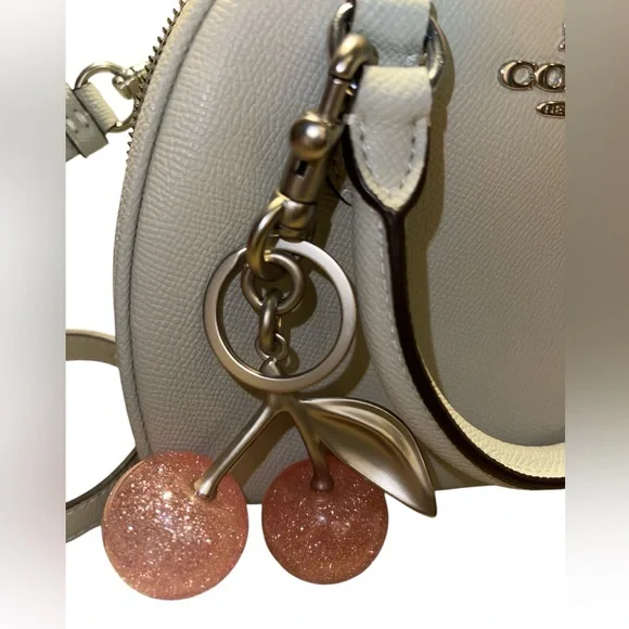 Coach Sydney Satchel Crossbody Lt. Sage Green Silver Logo Bag w/ pink cherry NWT - Picture 10 of 11